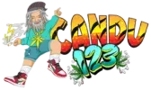 idcandu123.com Logo